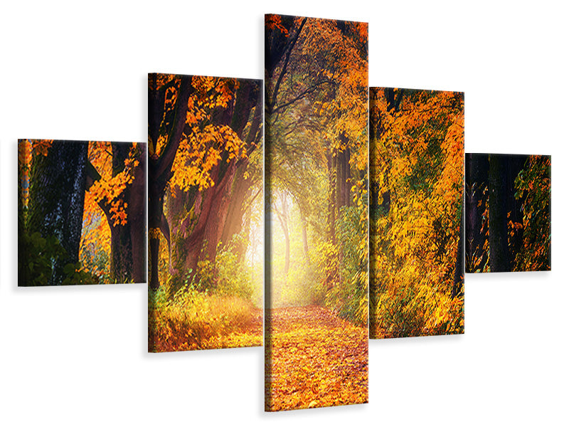 5-piece-canvas-print-forest-walk