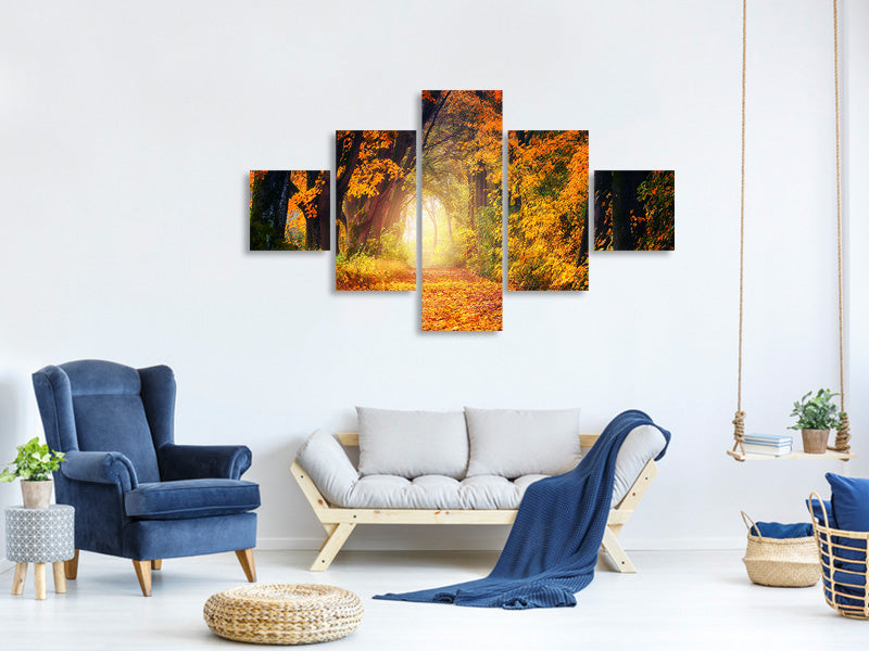 5-piece-canvas-print-forest-walk