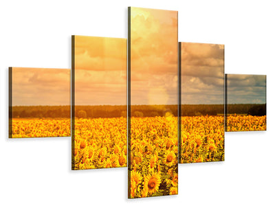 5-piece-canvas-print-golden-light-sunflower