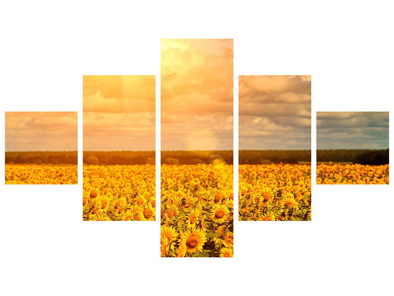5-piece-canvas-print-golden-light-sunflower