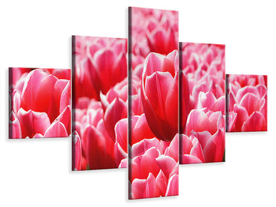 5-piece-canvas-print-happy-tulip-field