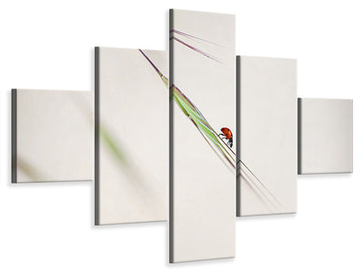 5-piece-canvas-print-ladybug