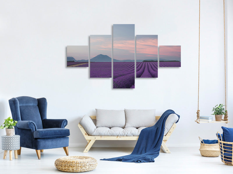 5-piece-canvas-print-lavender-field