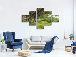 5-piece-canvas-print-mature-trees