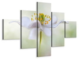 5-piece-canvas-print-nemorosa