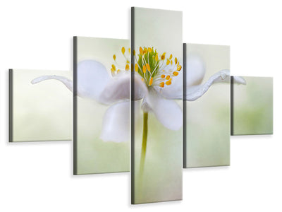 5-piece-canvas-print-nemorosa