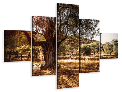 5-piece-canvas-print-olive-grove