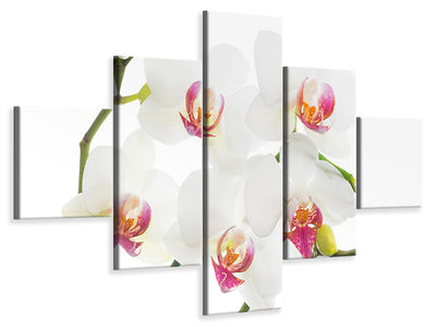 5-piece-canvas-print-orchids-love