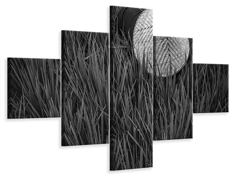 5-piece-canvas-print-rice-fields-in-bw