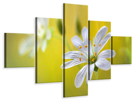 5-piece-canvas-print-stitchwort-ii