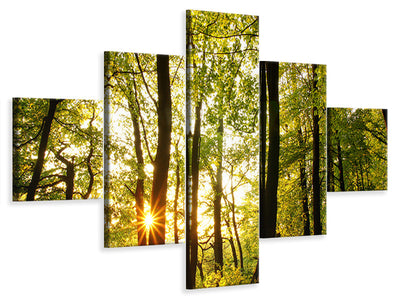 5-piece-canvas-print-sunset-between-trees