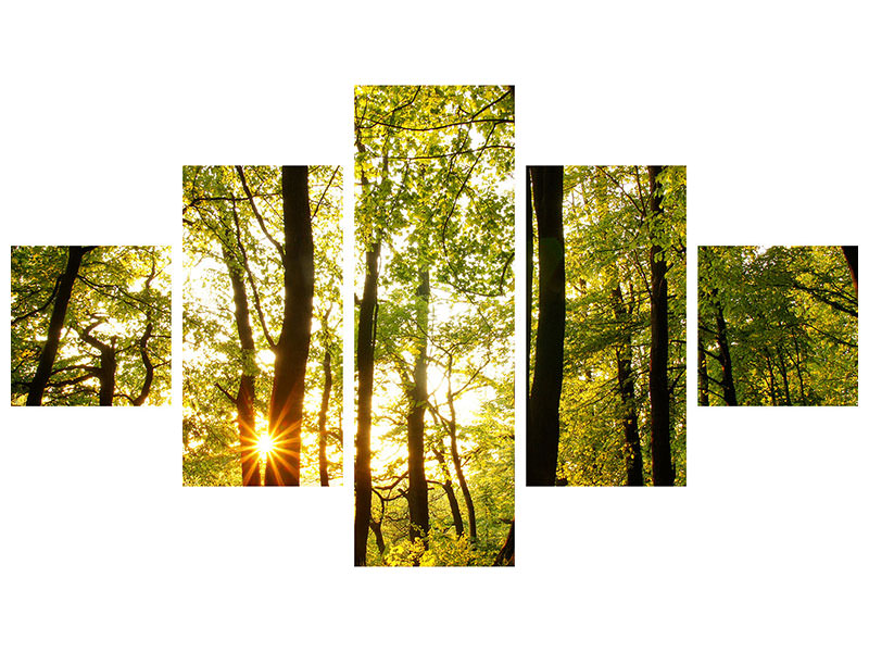 5-piece-canvas-print-sunset-between-trees