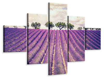 5-piece-canvas-print-the-lavender-field-ii