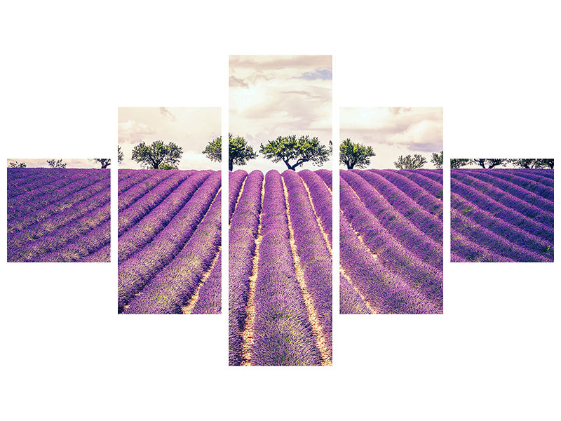5-piece-canvas-print-the-lavender-field-ii