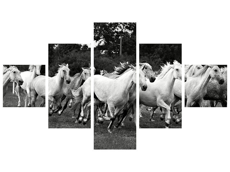 5-piece-canvas-print-the-mustang-herd