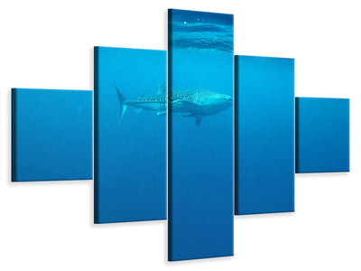 5-piece-canvas-print-the-whale-shark