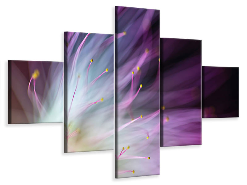 5-piece-canvas-print-the-will-o-the-wisp