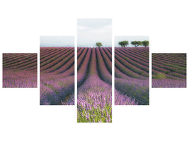 5-piece-canvas-print-velours-de-lavender