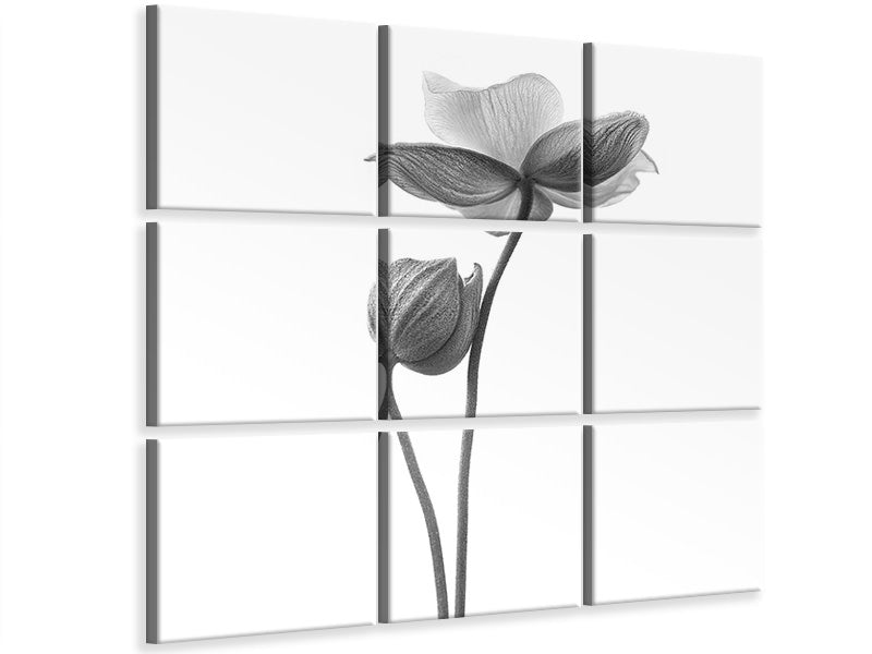 9-piece-canvas-print-a-little-touch-monochrome