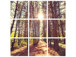 9-piece-canvas-print-light-at-the-end-of-the-forest-path