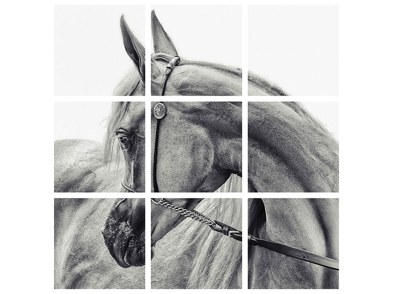 9-piece-canvas-print-the-arabian-horse