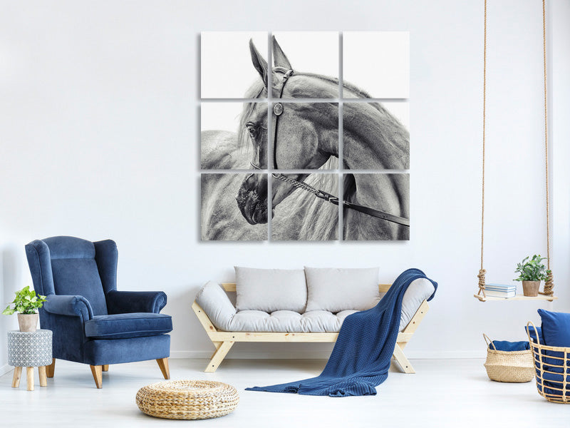 9-piece-canvas-print-the-arabian-horse