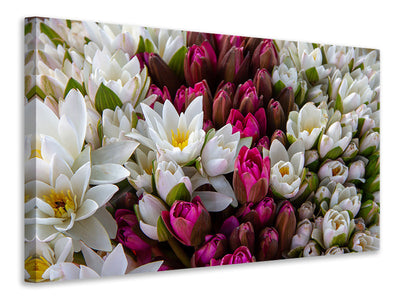 canvas-print-a-bouquet-of-water-lilies