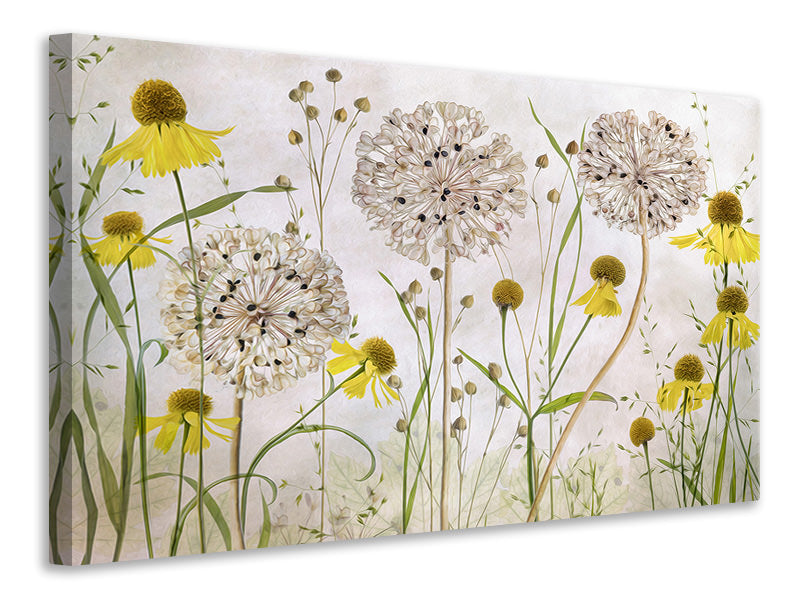 canvas-print-alliums-and-heleniums