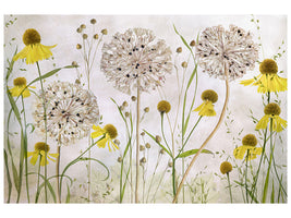 canvas-print-alliums-and-heleniums