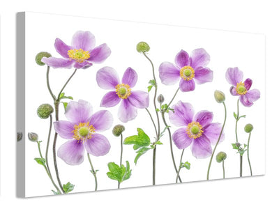 canvas-print-anemone-japonica-x