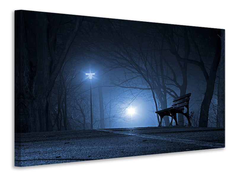 canvas-print-at-night-in-the-park