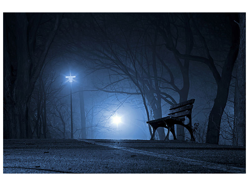 canvas-print-at-night-in-the-park