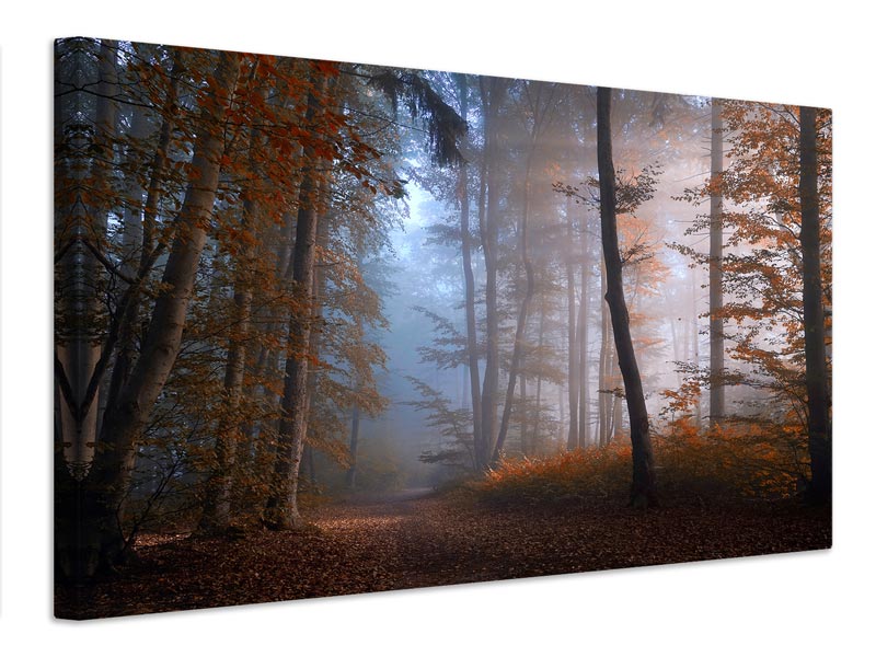 canvas-print-autumn-colors-x