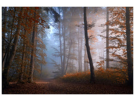 canvas-print-autumn-colors-x