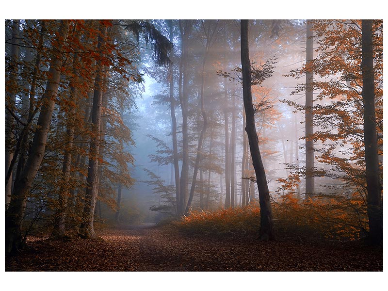 canvas-print-autumn-colors-x