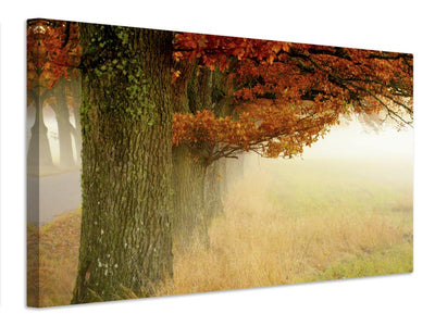 canvas-print-autumn-fog-x