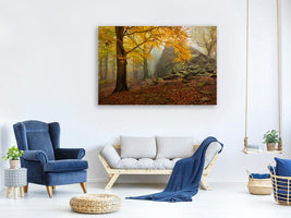 canvas-print-autumn-forest-x