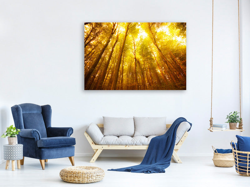 canvas-print-autumn-forest