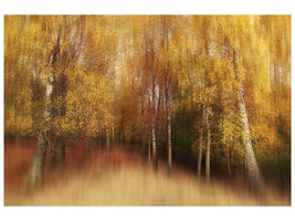 canvas-print-autumn-impression-xvl