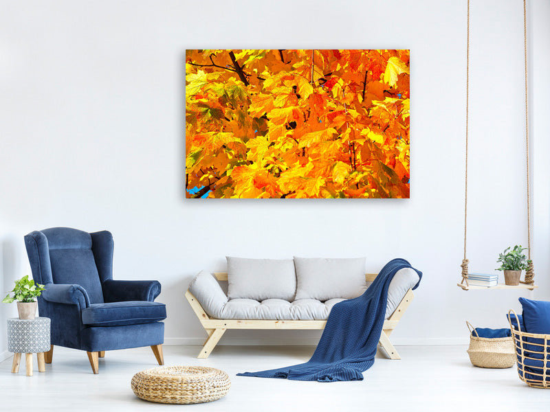 canvas-print-autumn-leaves-ii