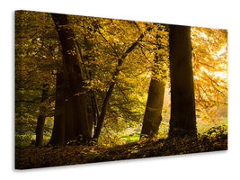 canvas-print-autumn-leaves