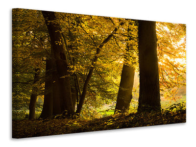 canvas-print-autumn-leaves