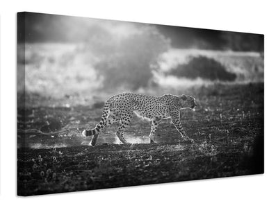 canvas-print-backlit-cheetah-x
