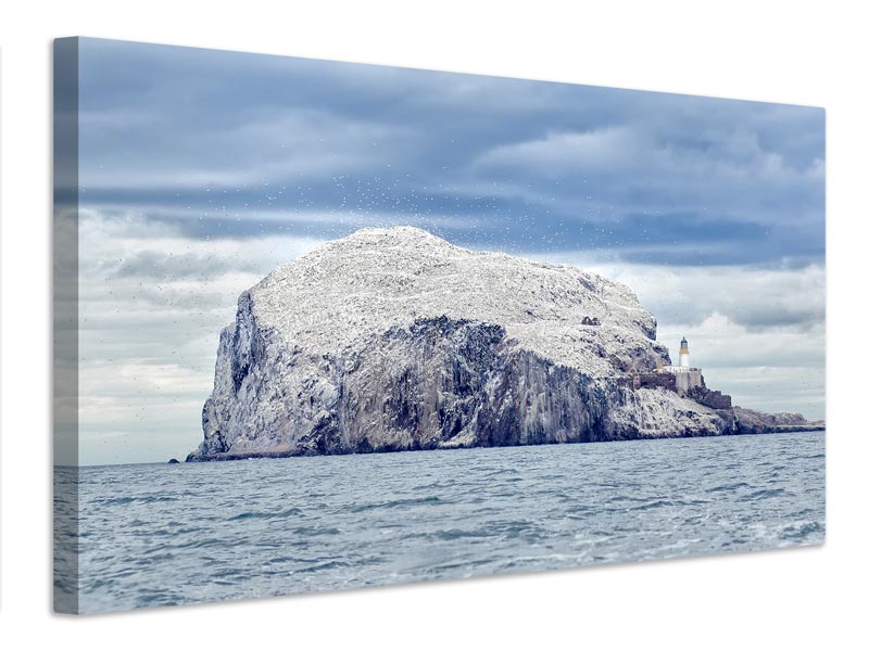 canvas-print-bass-rock-x