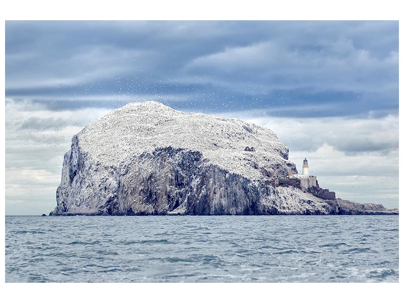 canvas-print-bass-rock-x