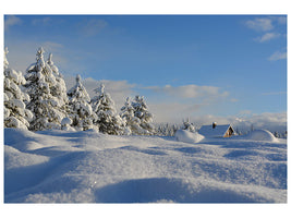 canvas-print-beautiful-snow-landscape