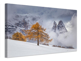 canvas-print-between-seasons-x