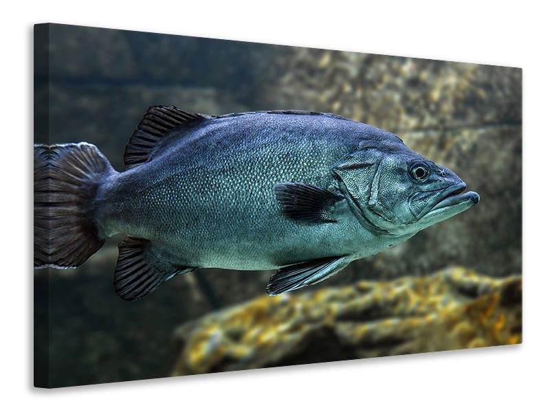 canvas-print-big-fish