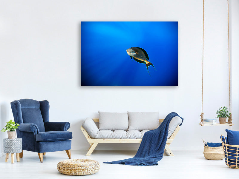 canvas-print-blu