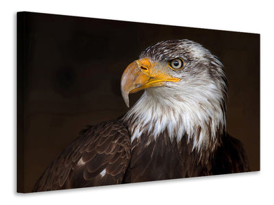 canvas-print-caged-eagle